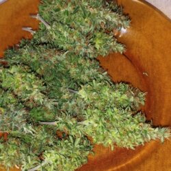#1 PREENSEED - semana 25 - 