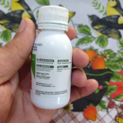 Primeiro Cultivo (Rabanopolea) - semana 10 - 